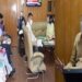 Navin reviews performance of Horticulture, livestock sectors under current annual plan