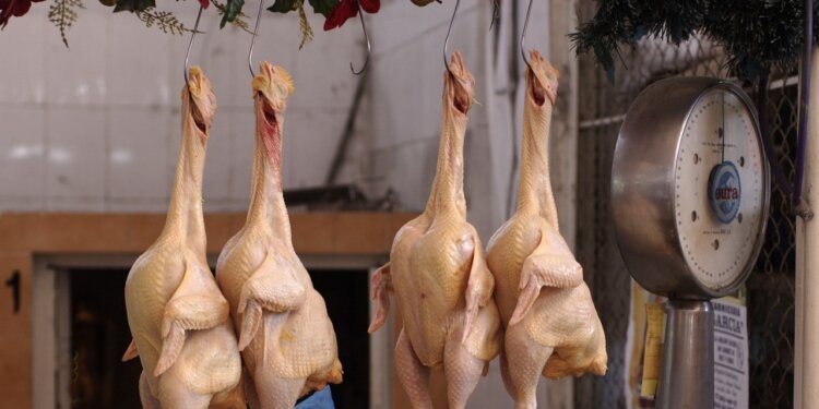 After Scarcity of Meat in Market, Butcher Selling Chickens
