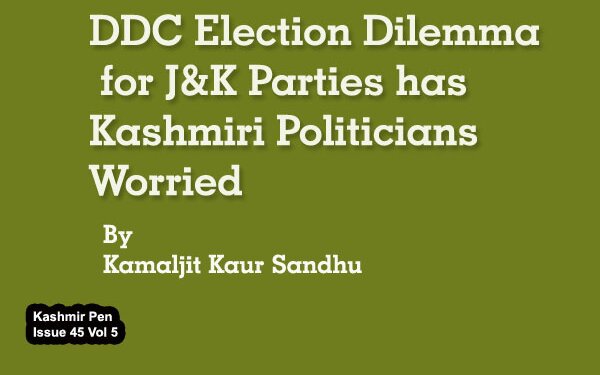 DDC Election Dilemma for J&K Parties has Kashmiri Politicians Worried