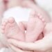 Dead body of Newborn baby found in Trauma hospital Kangan