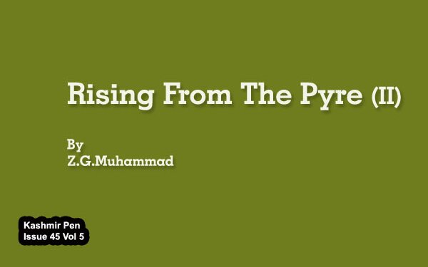 Rising From The Pyre (II)