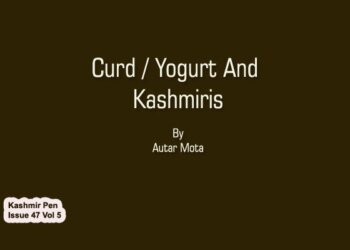 Curd / Yogurt And Kashmiris