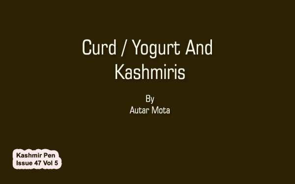 Curd / Yogurt And Kashmiris
