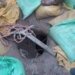 Tunnel suspected to be used by militants for infiltration detected in Samba sector : DGP