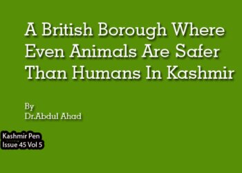 A British Borough Where Even Animals Are Safer Than Humans In Kashmir