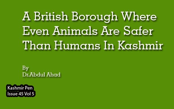 A British Borough Where Even Animals Are Safer Than Humans In Kashmir