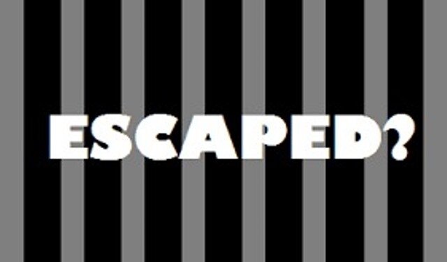 Militants Escape after a Brief Encounter in Parigam, Pulwama