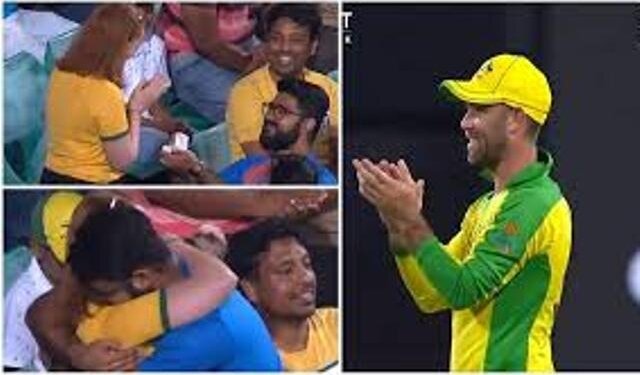 ‘Match made in heaven’: Glenn Maxwell approves marriage proposal at SCG