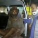 Madhya Pradesh Cops Find Missing Ex-Colleague On Footpath After 15 Years