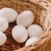 Diabetes Diet: Eating Excess Eggs May Increase Diabetes Risks – Experts Reveal