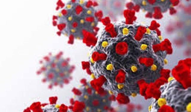 Type O blood linked to lower risk, taking Vitamin D unlikely to help