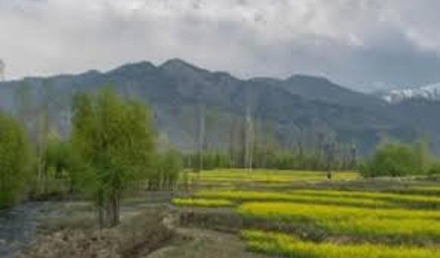 Anti encroachment drive against encroachers of State Land, Roshni Beneficiaries in Shopian