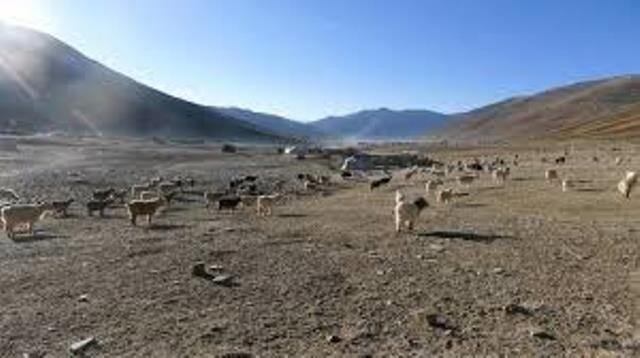 Protection under new land laws in J&K in the pattern of Himachal Pradesh, Uttarakhand laws: J&K govt