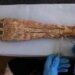 Egypt unveils 100 ancient wooden coffins