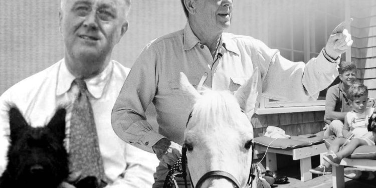 Joe Biden will bring pets back to the White House, but no alligators or bears this time