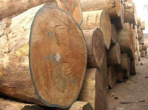 Forest Department Shields Timber Smugglers in Kupwara