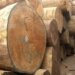 Forest Department Shields Timber Smugglers in Kupwara