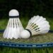 Russian badminton player Nikita Khakimov banned for five years over betting, fixing offences