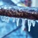Severe Cold Wave Continues in Kashmir Valley
