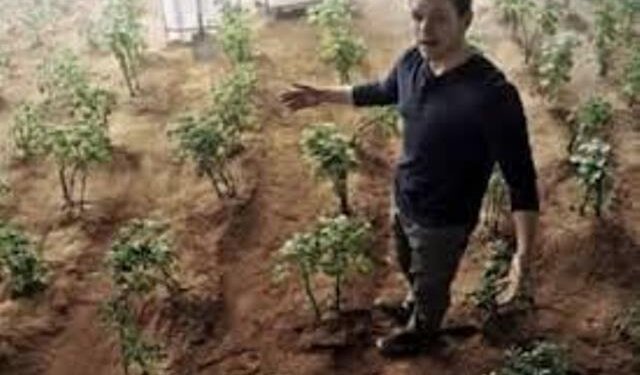 NASA is Growing Radish in Space as Humans Take One Giant Leap Towards Civilisation