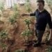NASA is Growing Radish in Space as Humans Take One Giant Leap Towards Civilisation