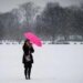 No stopping the New Year enthusiasts rush to ‘freezing’ Kashmir