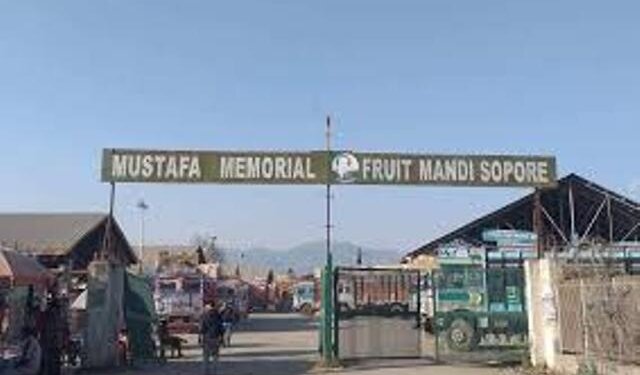 Fruit Mandi Sopore shuts to extend support to farmers’ ‘Bharat Bandh’ call