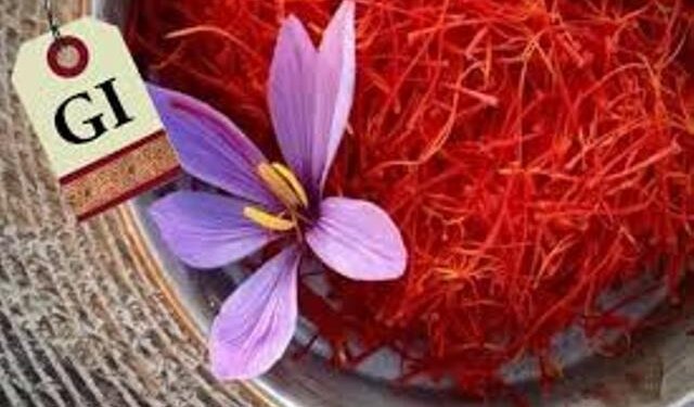 Powered by GI tag, J&K launches Kashmiri saffron in UAE market