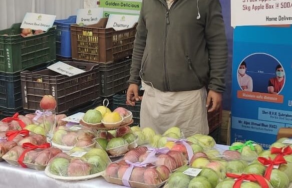 PhD Scholar sells Apple online, earns Rs 6 lakh in no time