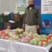 PhD Scholar sells Apple online, earns Rs 6 lakh in no time