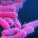 Six cases of shigella infection in Kerala’s Kozhikode, one dead