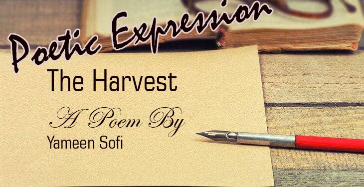 The Harvest , A Poem By Yameen Sofi