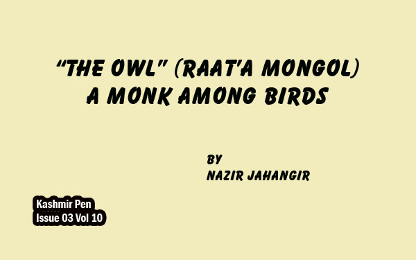 “The Owl” (Raat’a Mongol) A Monk Among Birds