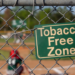 J&K declares Gulmarg and Tangmarg Tobacco-Free Zones