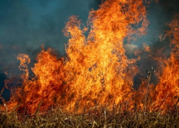 J&K: Fire breaks out in Soil Conversion Clouser of Udhampur