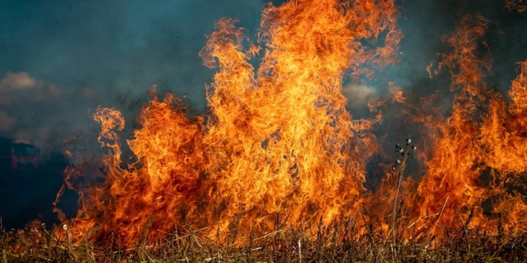 J&K: Fire breaks out in Soil Conversion Clouser of Udhampur