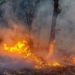 Fire breaks out in forest area of Udhampur