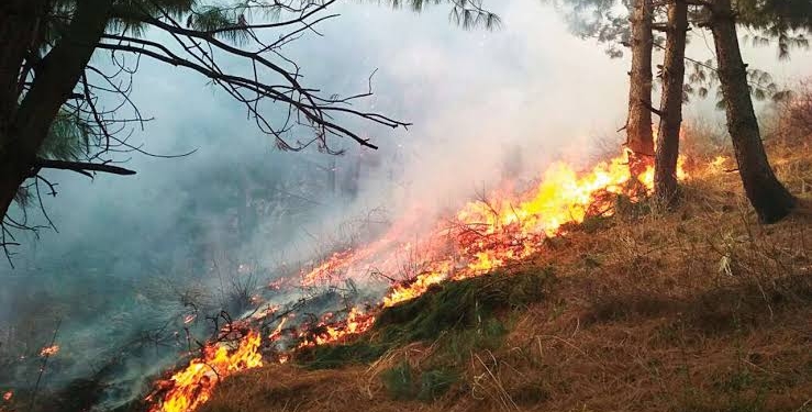 Prolonged dry spell triggers forest fire in multiple places of Kashmir