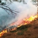 Prolonged dry spell triggers forest fire in multiple places of Kashmir