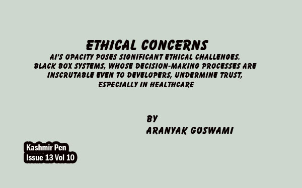 Ethical Concerns