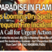 A Paradise in Flames JK’s Looming Dry Spells & Frequent Fire Incidents ,A Call for Urgent Action