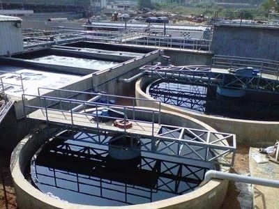 Dead Dog found in Filter Plant in Baramulla’s Uri