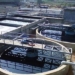 Dead Dog found in Filter Plant in Baramulla’s Uri