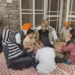 TMC delegation meets with families in Poonch affected by Pakistani shelling
