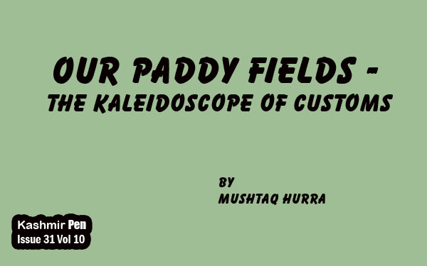 Our Paddy Fields -The Kaleidoscope of Customs