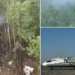 Wreckage of missing Russian An-24 plane found near forest, no survivors likely