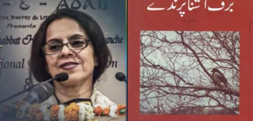 She of the Snowbirds