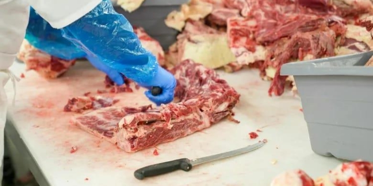 Enforcement Drive: Food Safety deptt seizes unsafe meat products, seals multiple premises