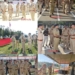 Eyes on Every Venue: DIG NKR Reviews Independence Day Security across North Kashmir