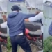 Viral video of traffic cop slapping youth in Sgr sparks public outrage